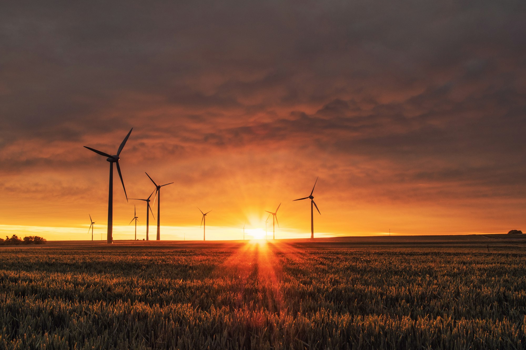 Wind turbines and open farmland at sunrise